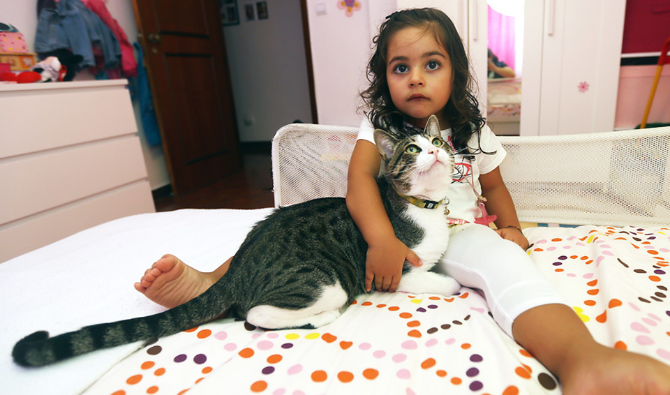 animais de estimação