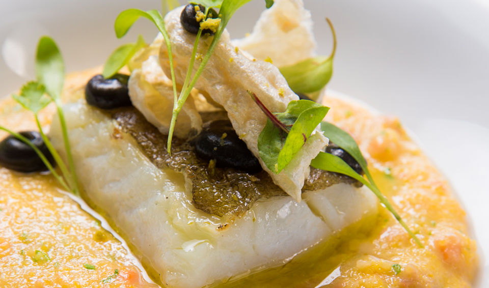 NM1244_Receitas02