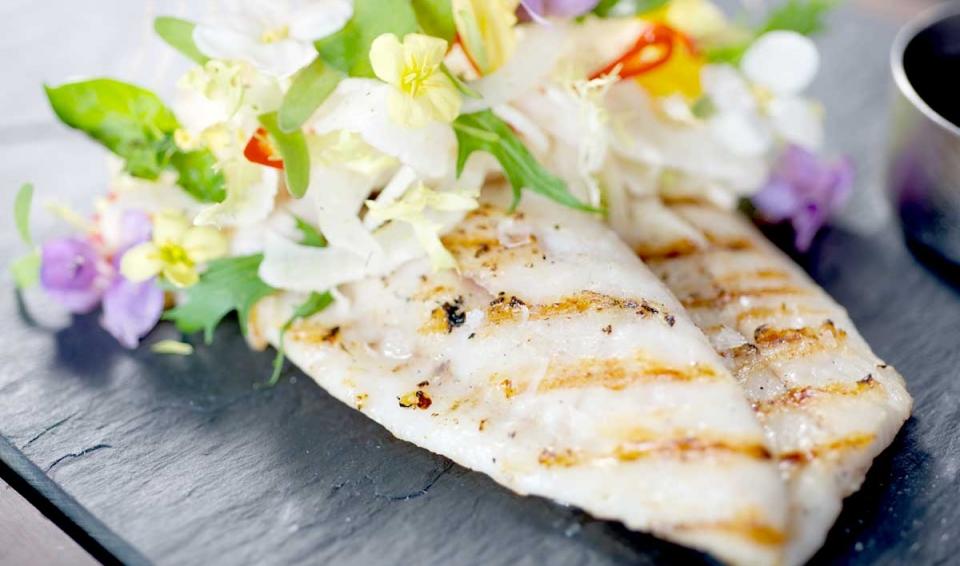 Comidas-Estranhas_05