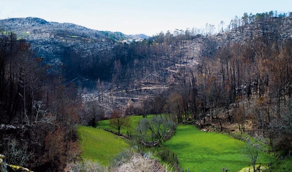 30929283_BINARY_GI01042018RUIOLIVEIRA000018