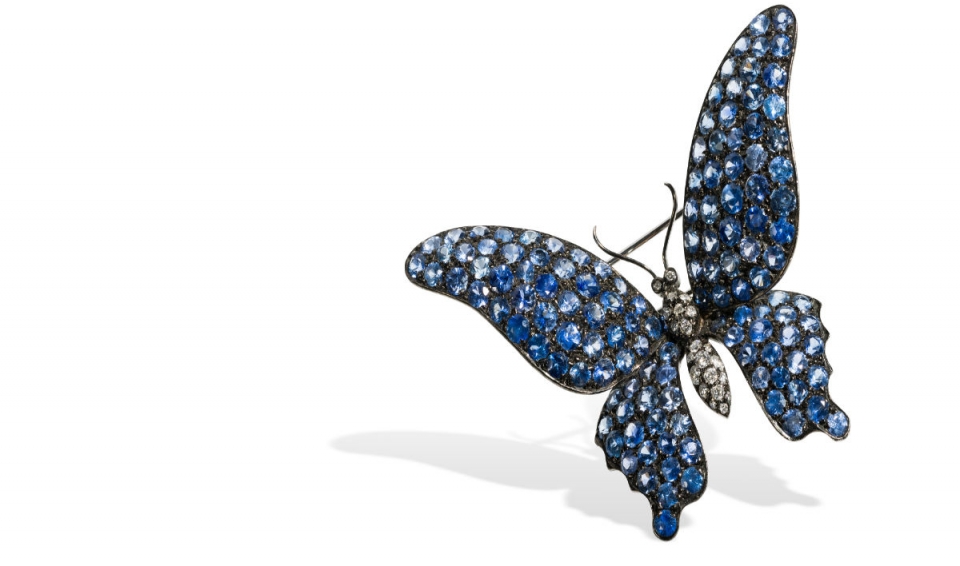 5 – Borboleta safiras David Rosas