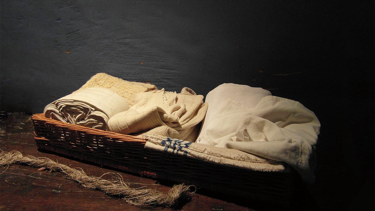 O linho é dos tecidos vegetais mais antigos e a suas fibras naturais acompanham a evolução da Humanidade