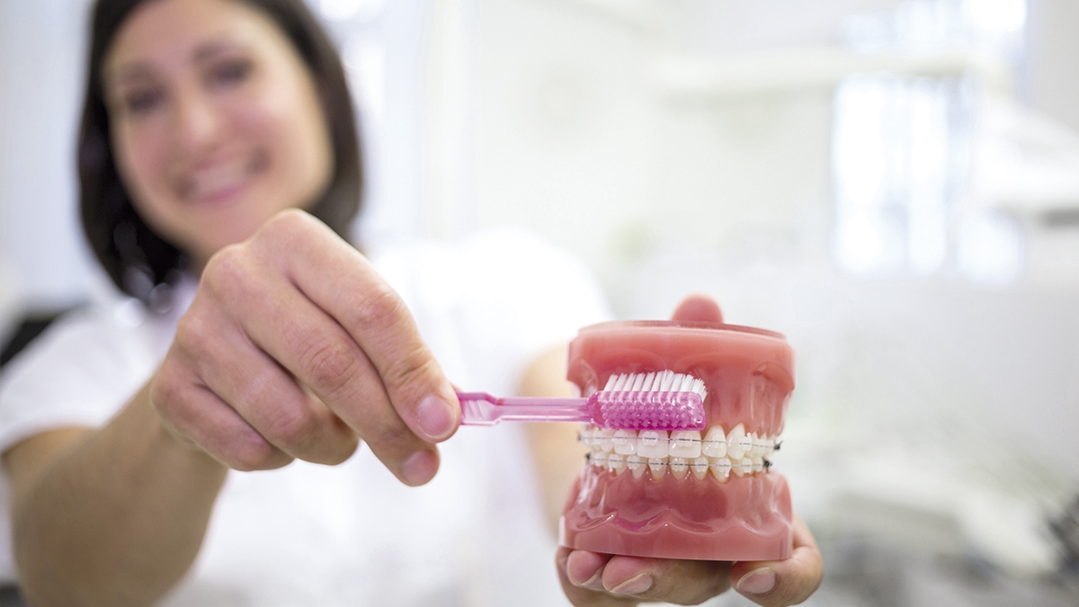 Dentist cleaning dental jaw model with a toothbrush in the clinic