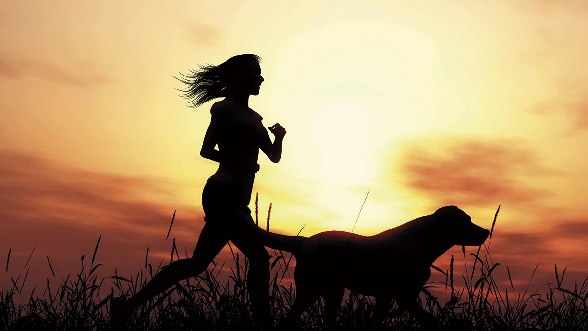 cão, correr, animais, corrida