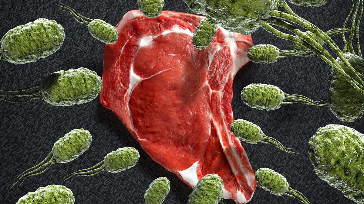 carne, Listeriose, contaminada, intoxicação