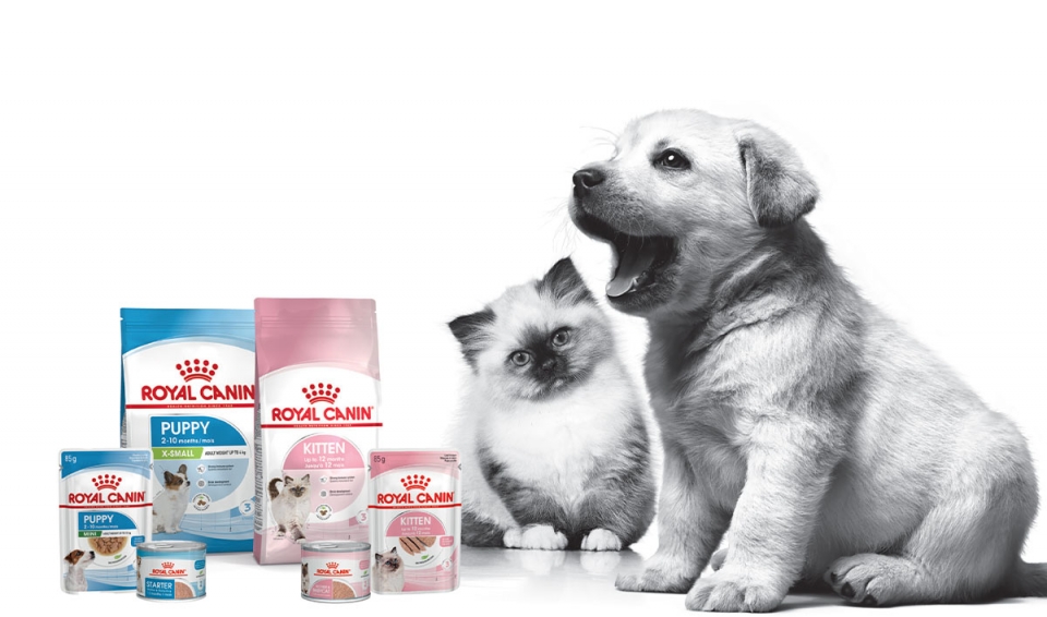 imagem_central_2_royal_canin