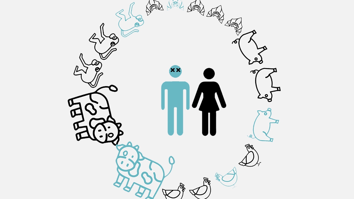 zoonoses, animais