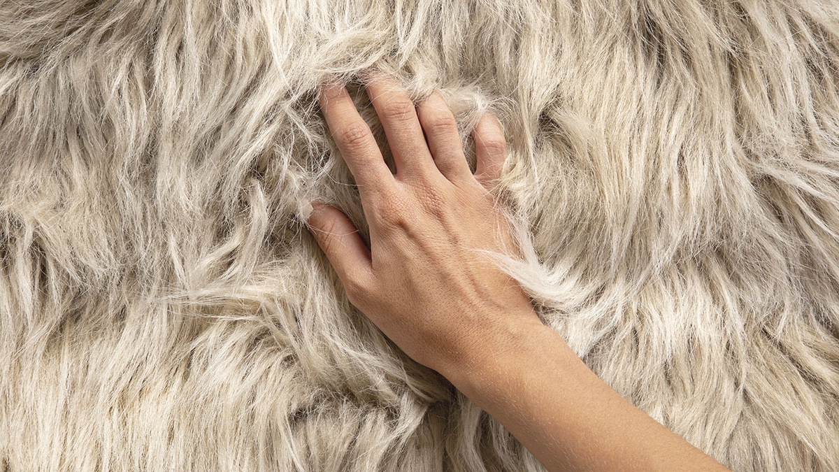 Biofabics: pelo, lã e cabelo “natural” produzidos em laboratório