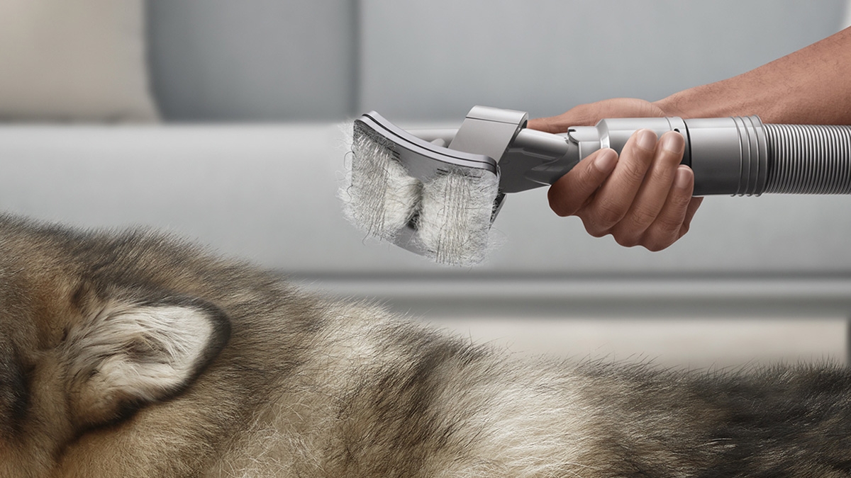 Pet-Groom-Tool