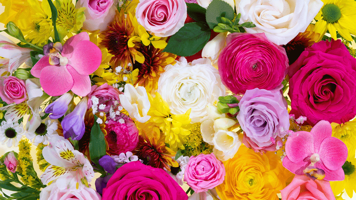Os benefícios das flores