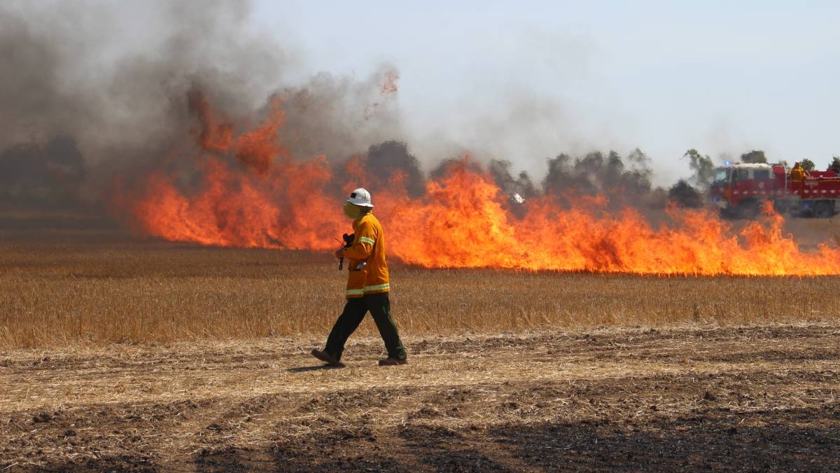 Miguel Cruz, investigador especialista em fogo, em Camberra, na Austrália
