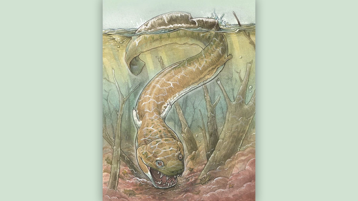 Descoberto na Namíbia “monstro” mais antigo do que os dinossauros