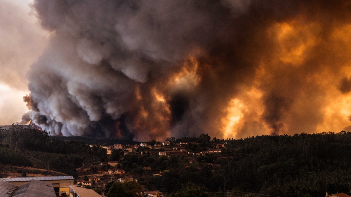 Incendio em Albergaria-a-Velha