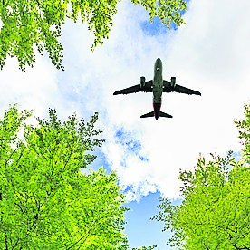 Airplane flying over a lush green woodland, looking up.